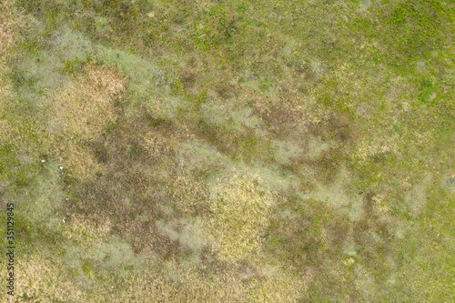 wild field, view from above