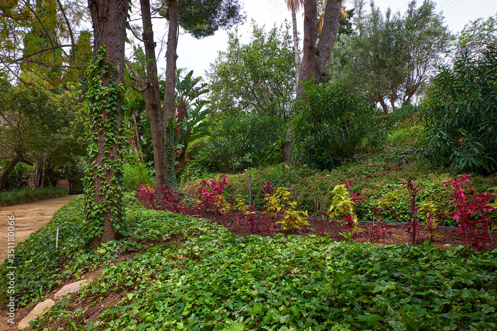 Marimurtra Botanical garden in Blanes, Catalonia. Marimurtra Botanical garden in Blanes, Catalonia.
