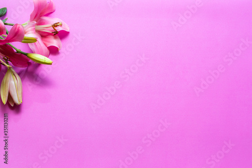 Flor en parte izquierda de fondo rosa 