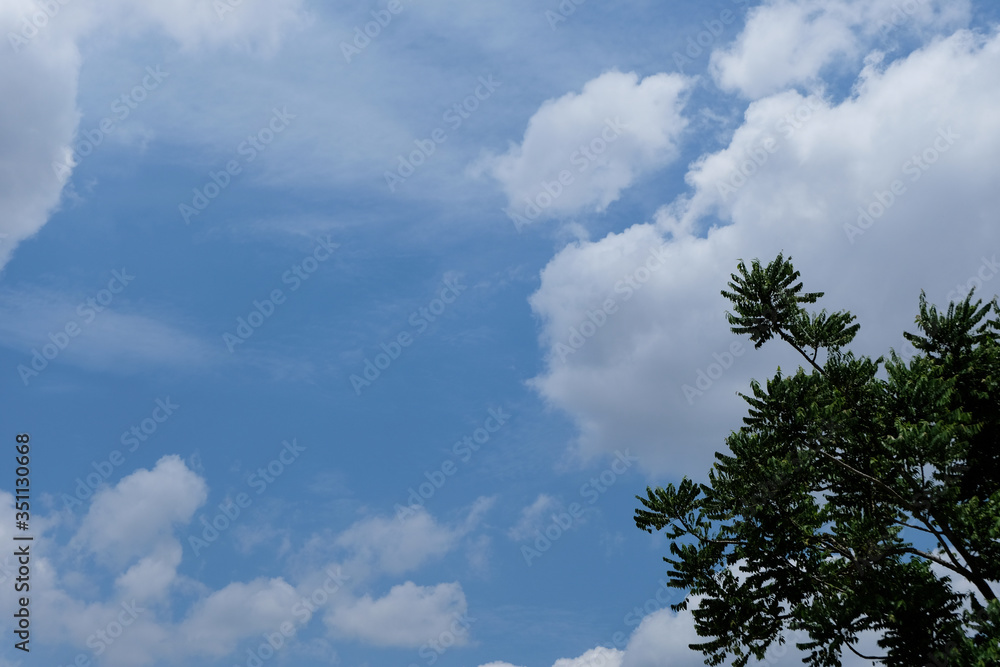 blue sky and clouds