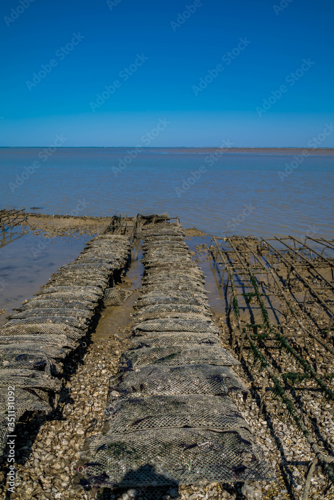 Travail ostréicole à marée basse.