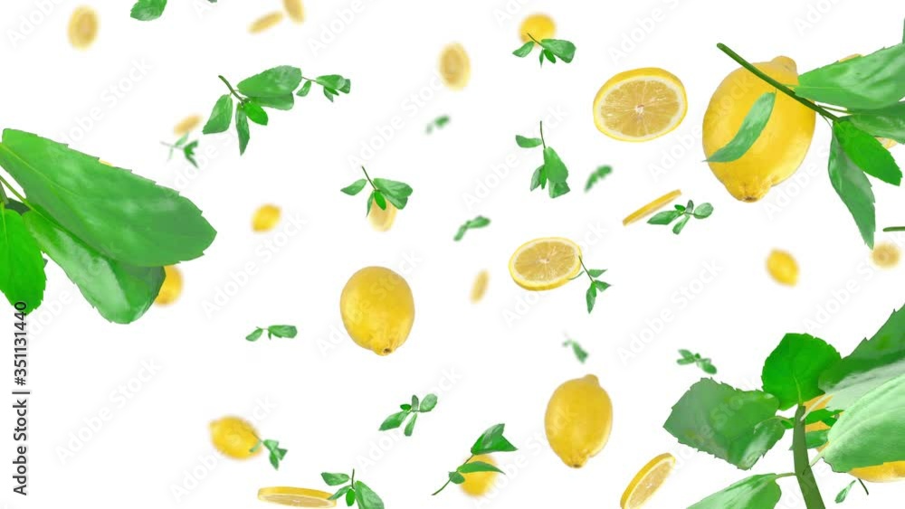 Lemon and mint. Depth of Field on c03 Lemon and mint. Depth of Field on c03