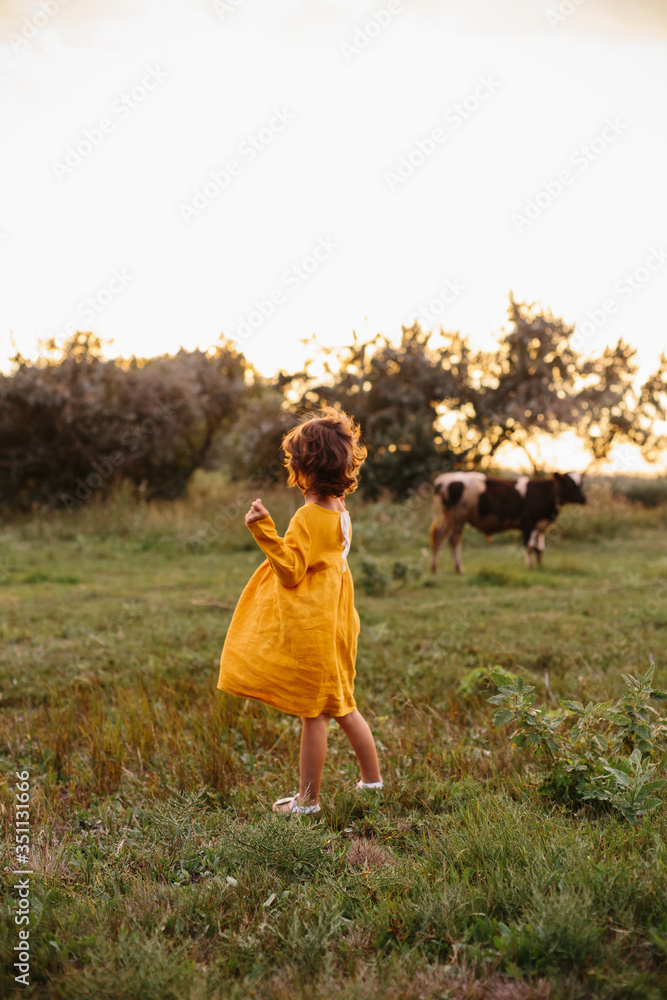 Toddler curly caucasian girl standing turned back in fields and looking at cow. Toddler curly caucasian girl standing turned back in fields and looking at cow.