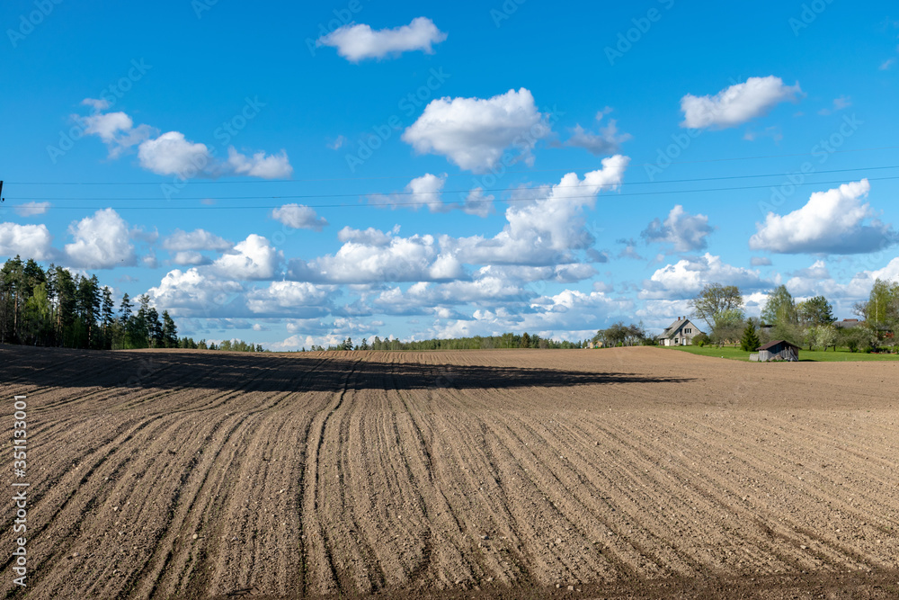 cultivated field in spring, small white clouds in the sky