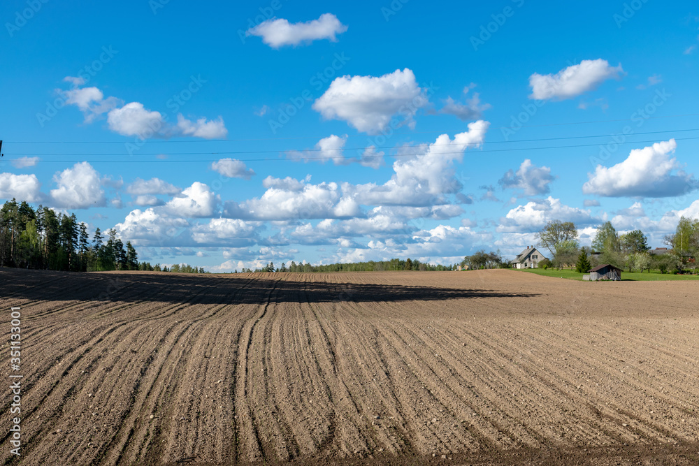 cultivated field in spring, small white clouds in the sky cultivated field in spring, small white clouds in the sky
