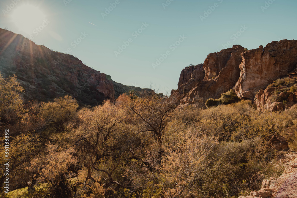 Fototapeta premium Desert Landscape