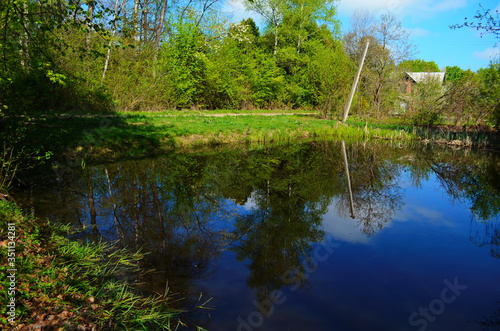 Blue water in a forest lake with pine trees