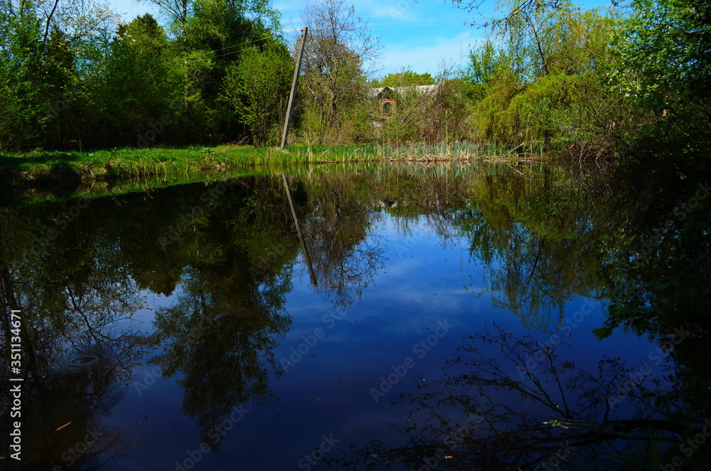Fototapeta premium Blue water in a forest lake with pine trees