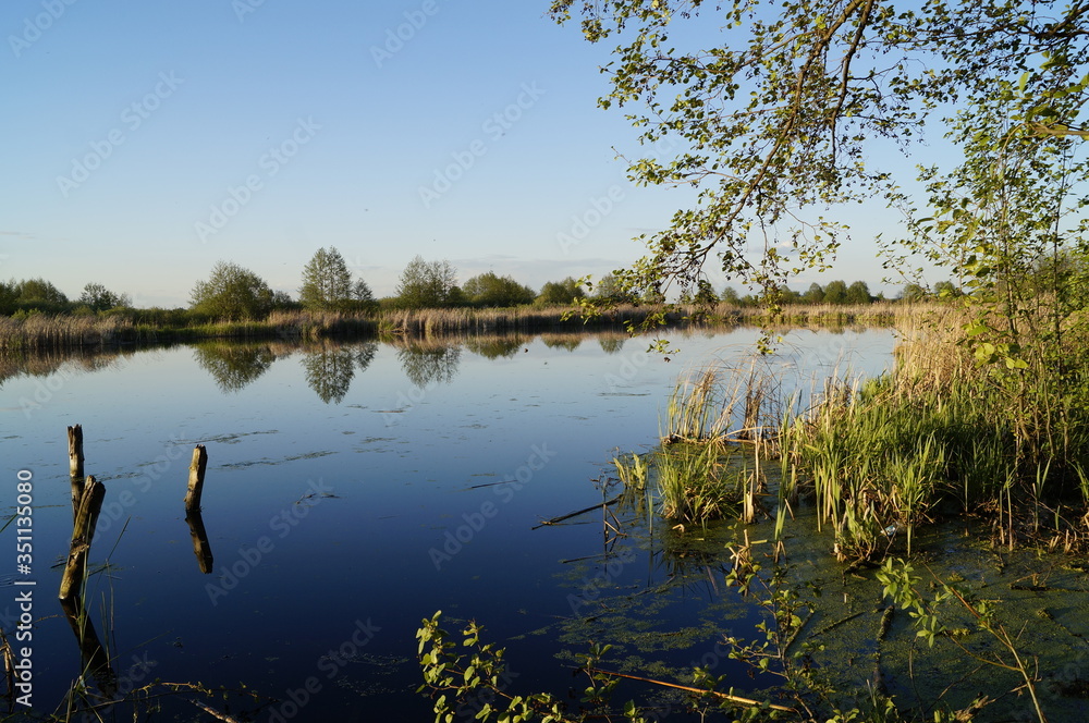 Fototapeta premium lake near the village