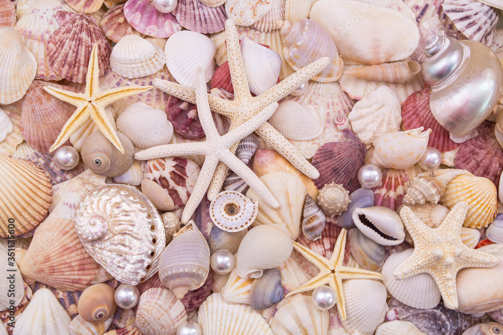 Many amazing seashells and starfishes mixed with pearls