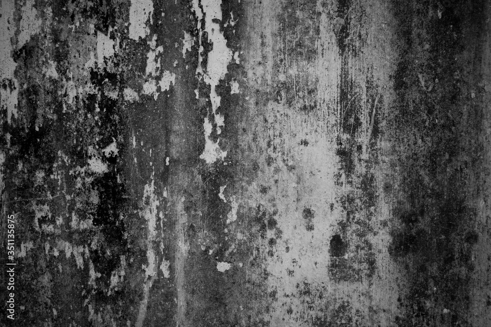 Old walls with black lichen stains attached. Old walls with black lichen stains attached.