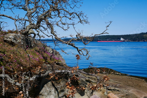 View from a rocky Island