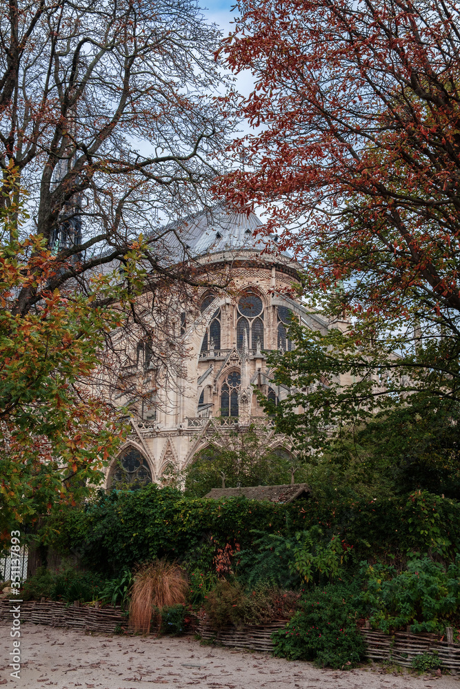 View of Notre Dame Cathedral through the thickets of the square of Jean-XXIII, autumn Paris.