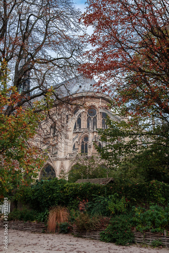 View of Notre Dame Cathedral through the thickets of the square of Jean-XXIII  autumn Paris.