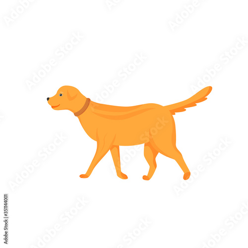 Ginger dog flat color vector character. Domestic animal on walk. Pet sitting and daycare. Veterinary and clinic. Puppy stand isolated cartoon illustration for web graphic design and animation