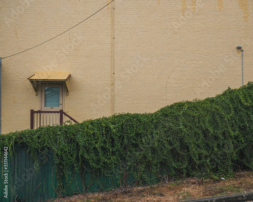 yellow wall and hedge