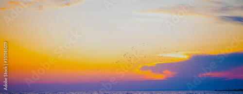 a flock of birds over the sea on the background of the sunset © orlovphoto