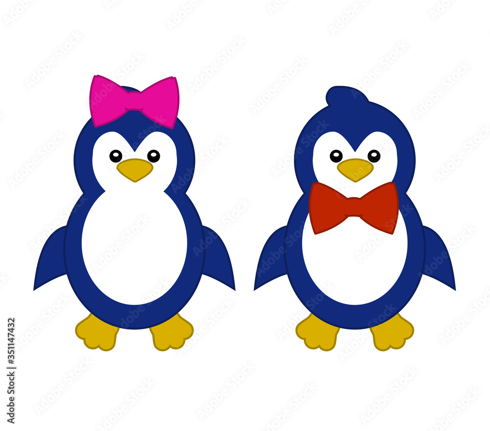 Fototapeta premium Colorful female and male penguin. Cute bird.
