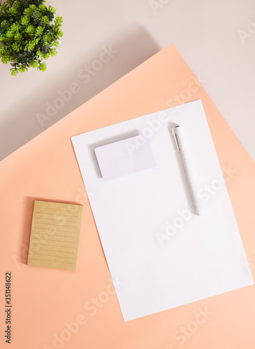 Corporate identity with pastel concept. Stationery branding, card, letterhead mock-up on light pale ivory background, with take note and pen. Blank objects for placing your design. (ID: 351148622)