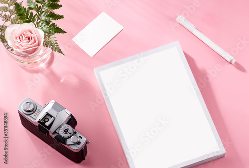 Corporate identity with pastel concept. Stationery branding, card, letterhead, book mock-up on light pink background, with paper, leaves and pen, camera elements. Blank objects for placing your design (ID: 351148894)