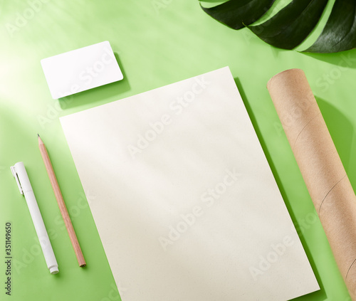 Corporate identity with pastel concept. Stationery branding, card, letterhead mock-up on light green background, with paper, leaves and pen, pencil. Blank objects for placing your design (ID: 351149650)