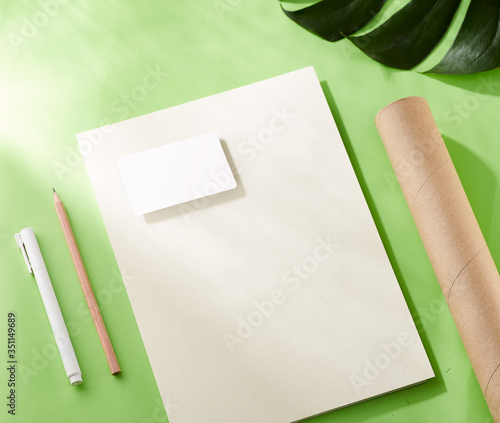 Corporate identity with pastel concept. Stationery branding, card, letterhead mock-up on light green background, with leaves and pen, pencil. Blank objects for placing your design. Harsh light.  (ID: 351149689)