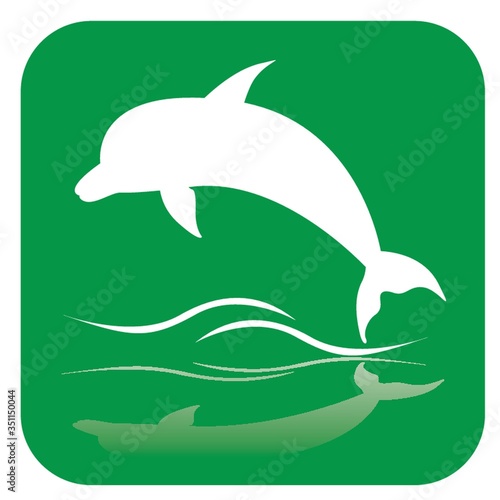 dolphin