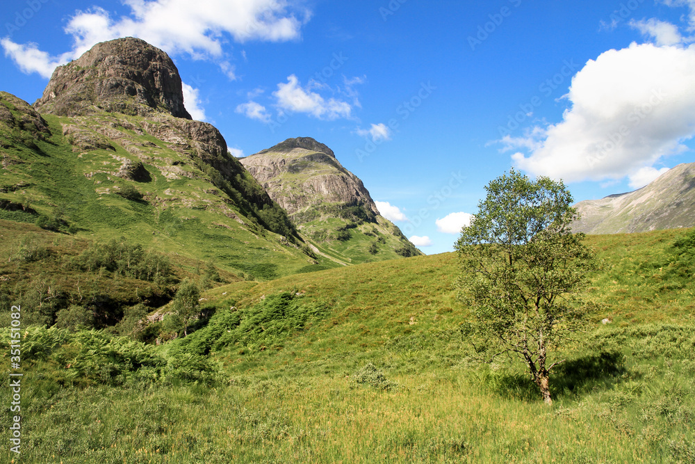 Abgerundete felsige Bergkuppen mit Steilhängen und einsamer Baum in den schottischen Highlands