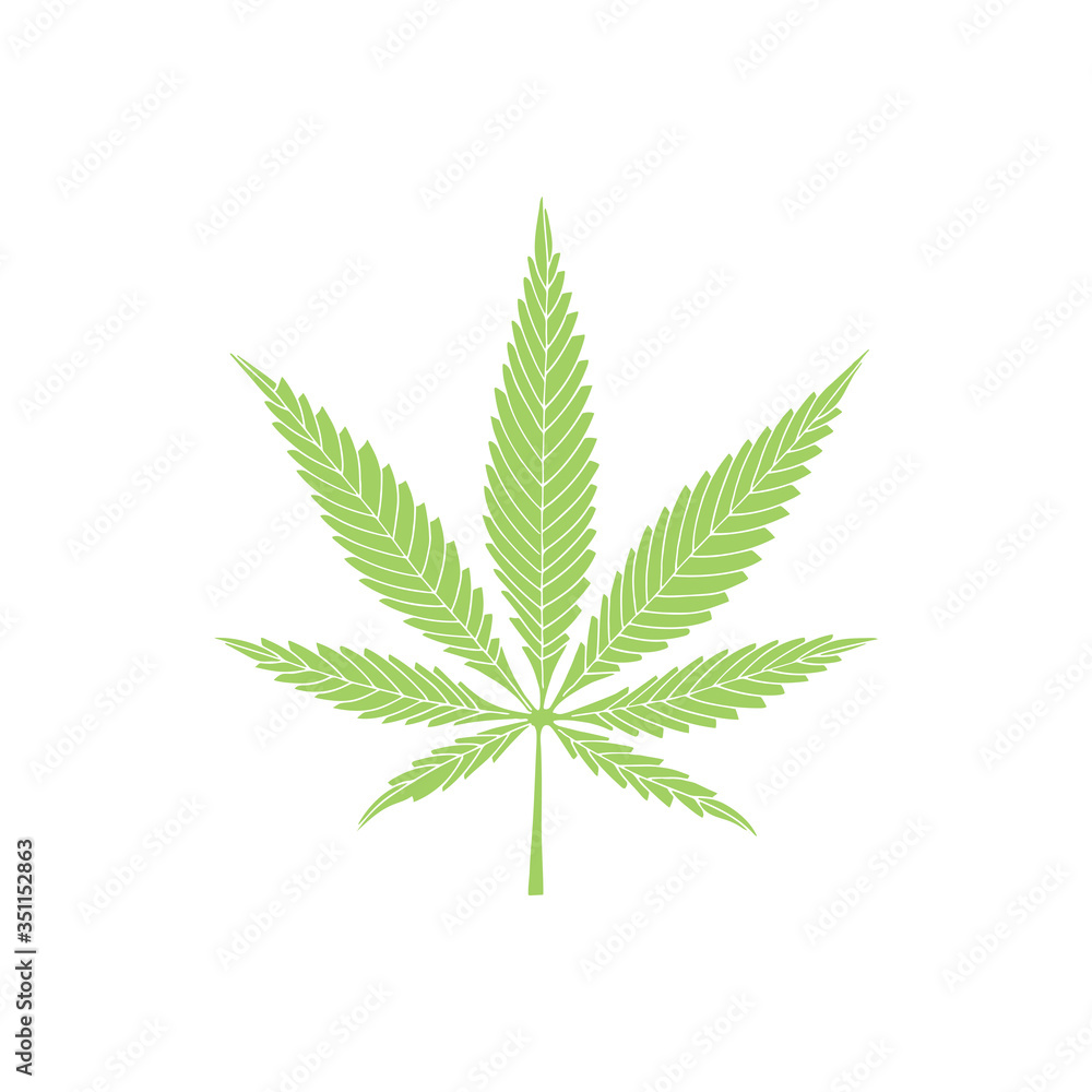 Cannabis leaf. Marijuana leaf hand drawn vector illustration. Cannabis sketch drawing. Part of set. Cannabis leaf. Marijuana leaf hand drawn vector illustration. Cannabis sketch drawing. Part of set.