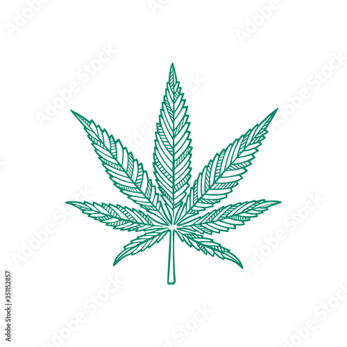Cannabis leaf. Marijuana leaf hand drawn vector illustration. Cannabis sketch drawing. Part of set.