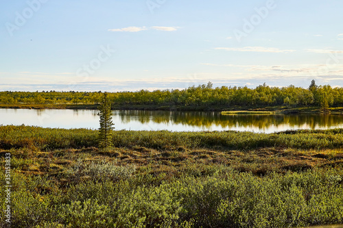 Beautiful landscape with water of calm lake or swamp in a autumn or summer evening. Concept of a walk, rest and travel on nature. Nature in Finland or Karelia in Russia