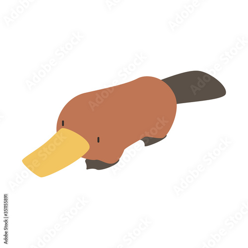 cute platypus animal vector photo