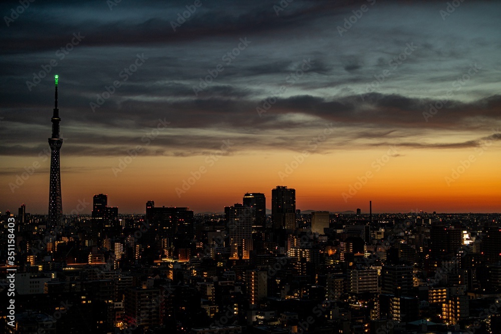 東京の朝の色