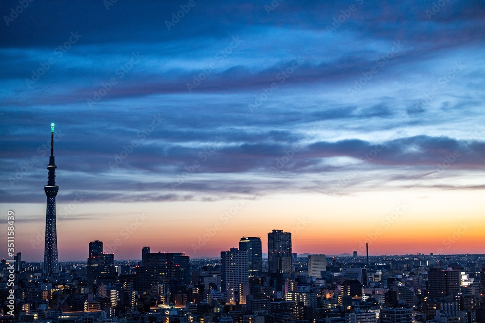 Fototapeta premium もうすぐ夜明けの東京