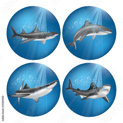 A set of sharks illustration.