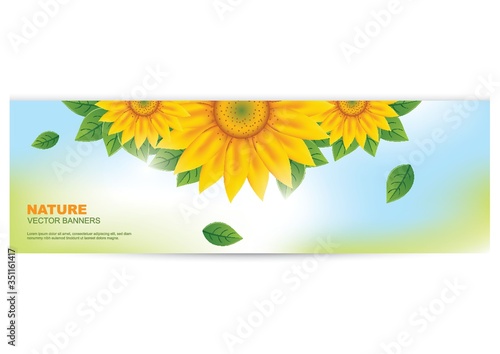 A nature banner with sunflower.