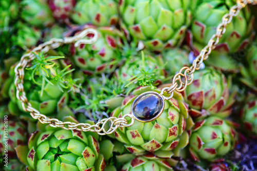 Brass metal wire mineral stone bead bracelet on green houseleek plant background