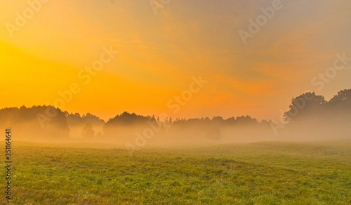 Mglisty poranek nad polem i łąką © Piotr