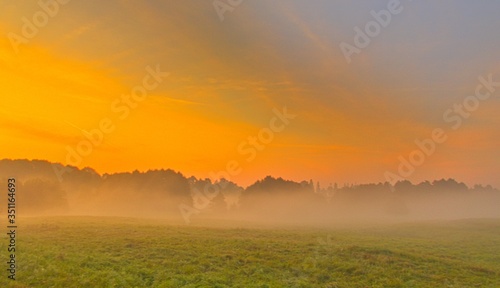 Wallpaper Mural Mglisty poranek nad polem i łąką Torontodigital.ca