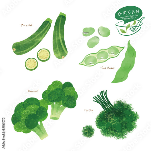 緑の野菜のイラスト/アソート/手描き