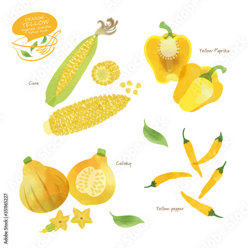 黄色い野菜のイラスト/アソート/手描き