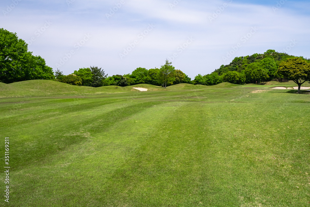 Fototapeta premium Golf Course with beautiful green field. Golf course with a rich green turf beautiful scenery.