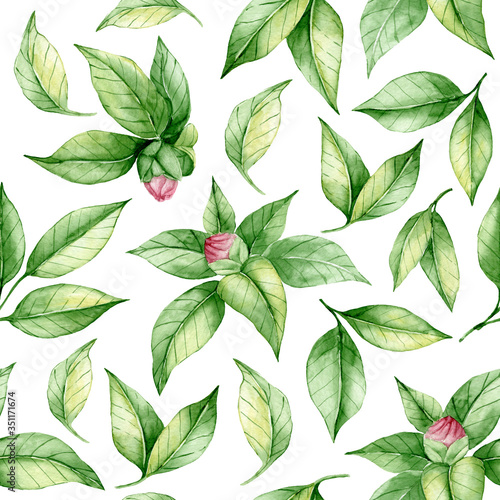 Watercolor leafy seamless pattern with flowers buds hand drawn on white background. Green leaves summer wallpaper