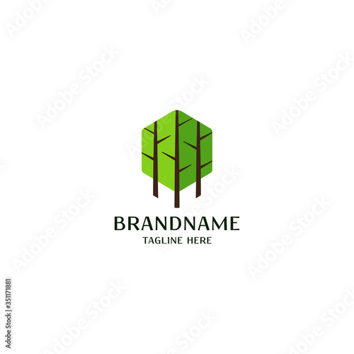 Forest logo icon design template vector illustration