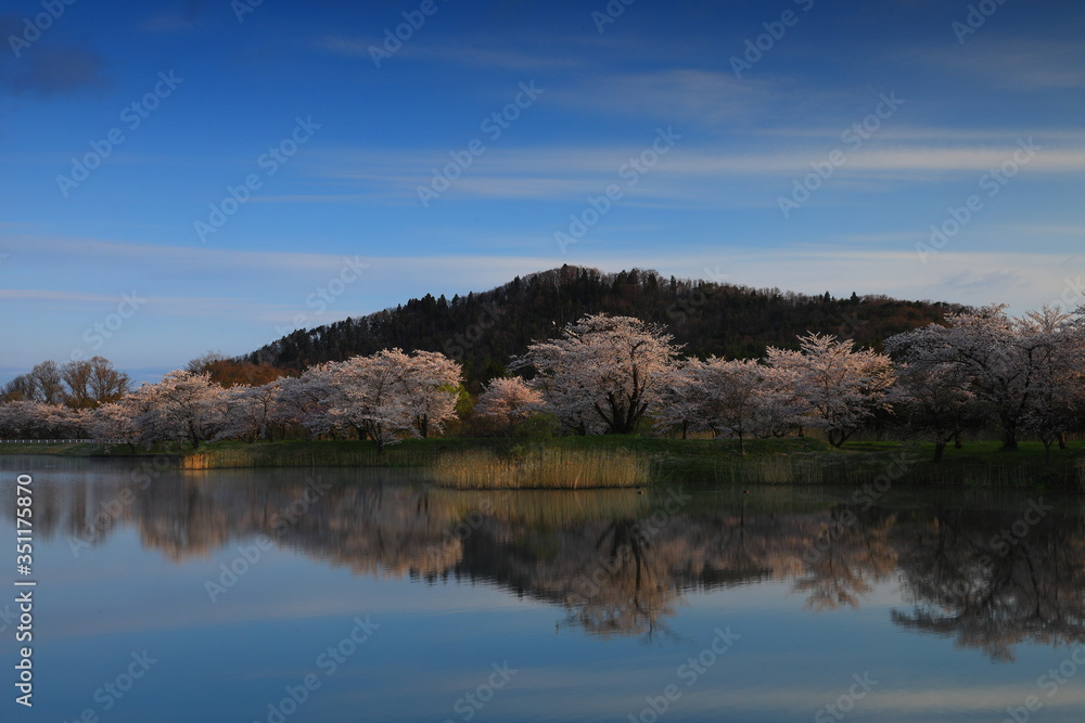 Fototapeta premium 春の三郎堤