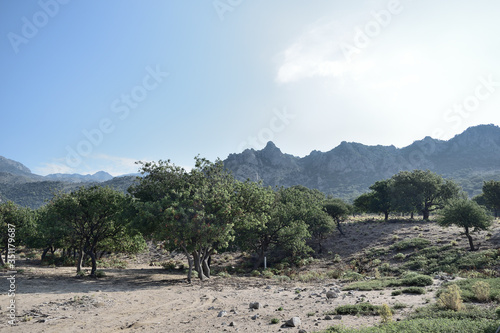 semi-desert landscape at Pachia Ammos beach - Samothraki island, Greece, Aegean sea photo