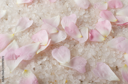 Closeup of sea salt and rose petals on it as a background.Beauty theme