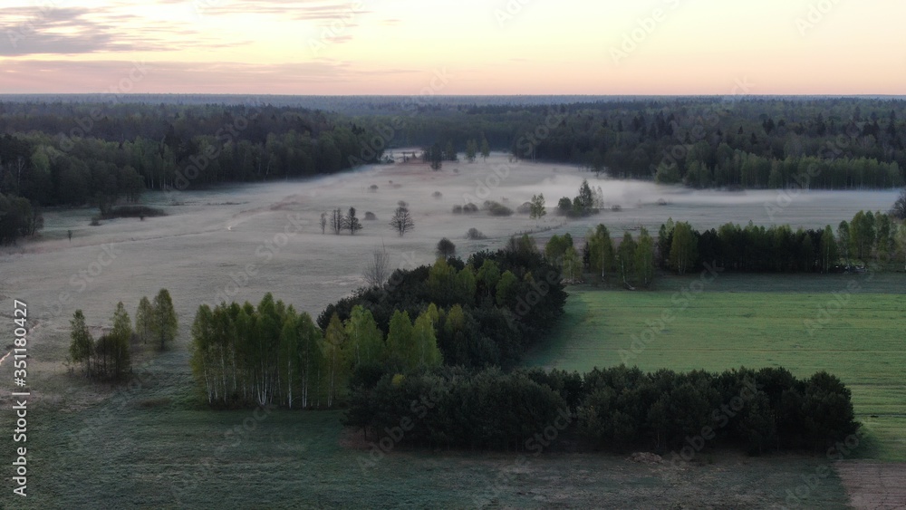 Aerial view of sunrise over Bialowieza forest, Poland