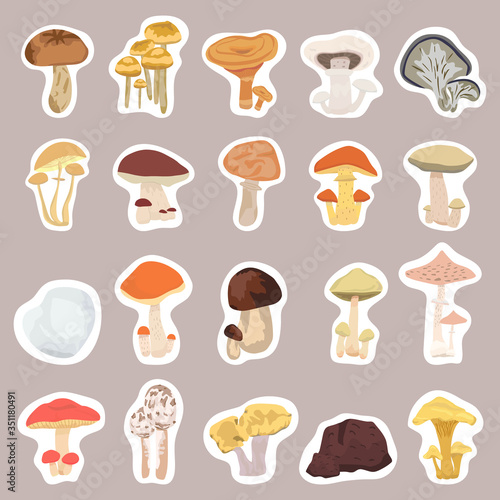 Mushrooms stickers set. Different mushrooms of the forest flat design. Vector illustration
