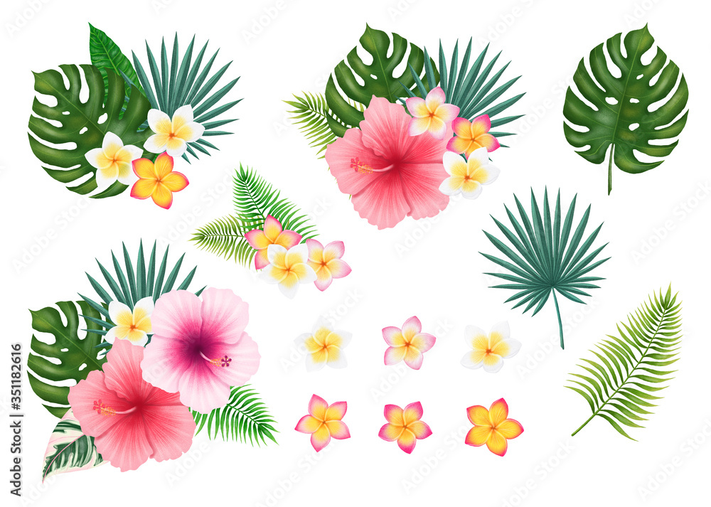 Hand drawn digital illustration of tropical floral arrangements. Isolated tropical compositions. Colorful plumeria arrangements set. Isolated Monstera leaf, palm leaf. Tropical elements.